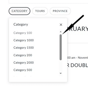 Tournaments-Category-filter